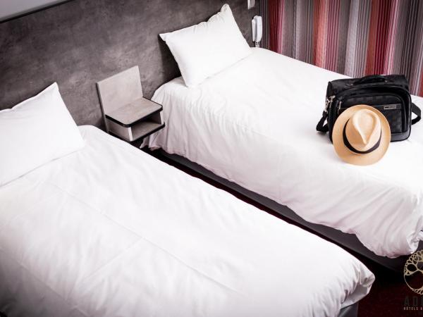 Adonis Gapotel : photo 6 de la chambre chambre lits jumeaux standard