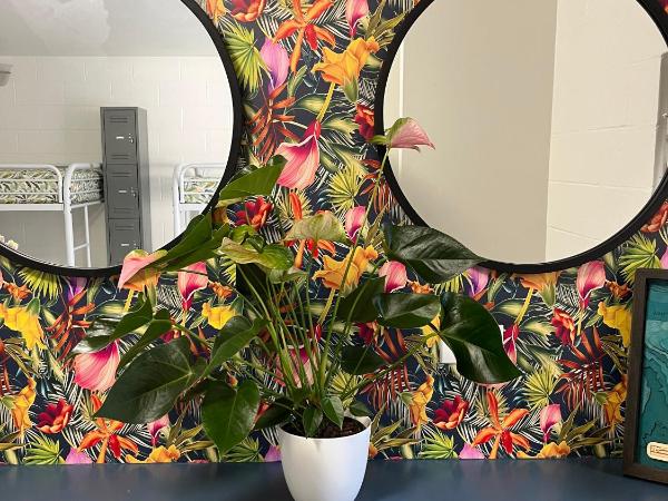 Waikiki Beachside Hostel : photo 4 de la chambre lit dans dortoir mixte de 8 lits 