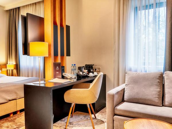 Focus Hotel Premium Sopot : photo 4 de la chambre chambre double standard avec canapé-lit