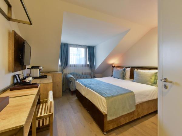 Hôtel Rousseau Plus : photo 1 de la chambre petite chambre double