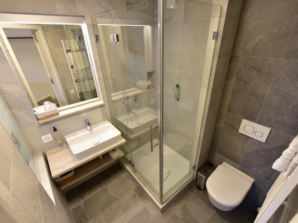 Hôtel Rousseau Plus : photo 5 de la chambre petite chambre double