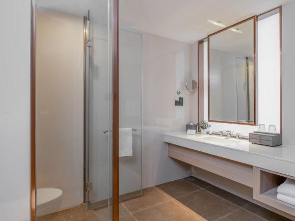 Kew Green Hotel Hongqiao Shanghai : photo 4 de la chambre chambre lits jumeaux standard - vue sur ville