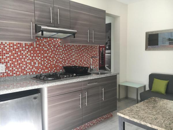 Casa San Rafael CDMX : photo 5 de la chambre appartement 1 chambre