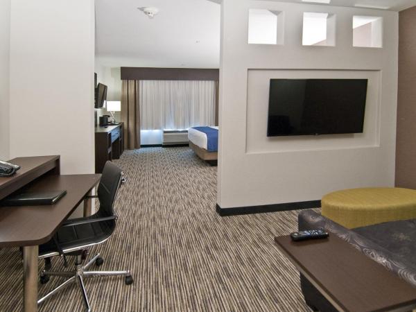 Holiday Inn Austin Airport, an IHG Hotel : photo 1 de la chambre suite lit king-size avec canapé-lit