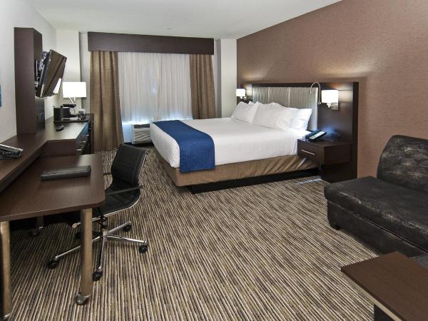 Holiday Inn Austin Airport, an IHG Hotel : photo 1 de la chambre chambre lit king-size standard