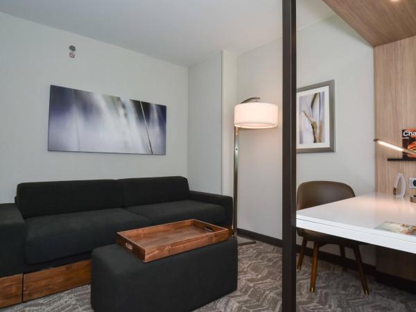 SpringHill Suites by Marriott Charlotte City Center : photo 1 de la chambre studio lit queen-size avec canapé-lit