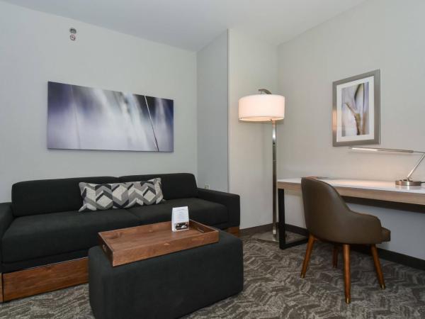 SpringHill Suites by Marriott Charlotte City Center : photo 1 de la chambre studio lit king-size avec canapé-lit