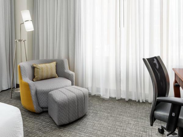 Courtyard Houston Downtown Convention Center : photo 2 de la chambre chambre double avec 2 lits doubles