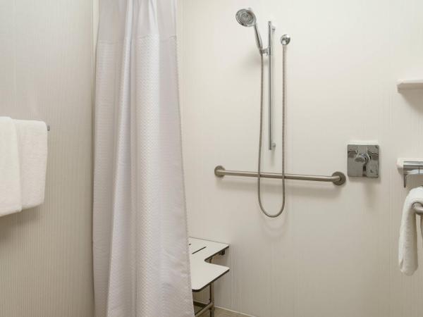 Courtyard Houston Downtown Convention Center : photo 4 de la chambre chambre lit king-size avec canapé-lit