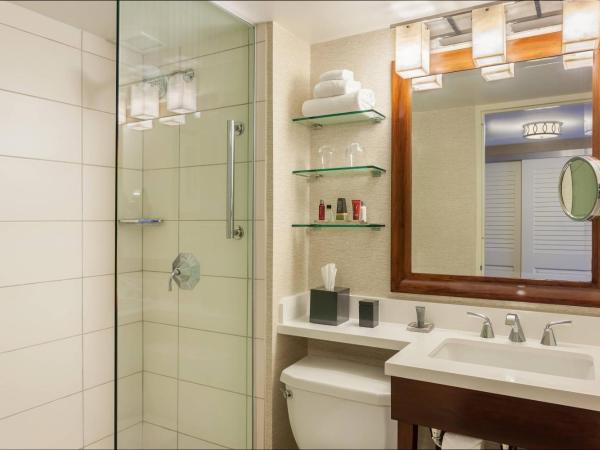 Tampa Airport Marriott : photo 2 de la chambre chambre lit king-size