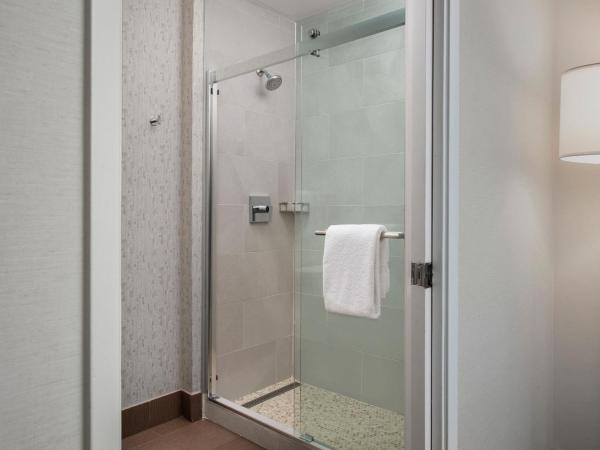 Courtyard by Marriott San Diego Downtown : photo 5 de la chambre suite lit king-size avec canapé-lit