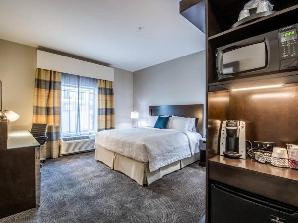 Fairfield Inn & Suites by Marriott Denver Downtown : photo 2 de la chambre chambre lit king-size