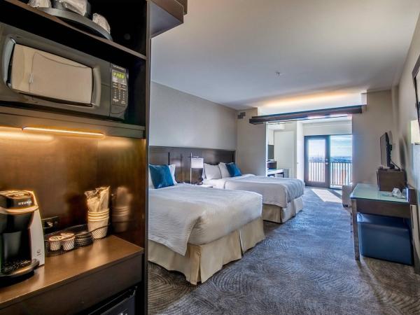 Fairfield Inn & Suites by Marriott Denver Downtown : photo 5 de la chambre suite lit queen-size