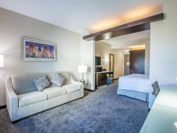 Fairfield Inn & Suites by Marriott Denver Downtown : photo 1 de la chambre suite lit king-size
