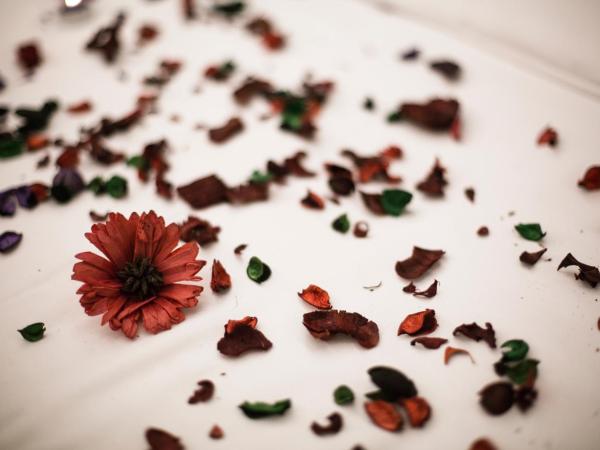 Büke Hotel Şişli : photo 6 de la chambre chambre double lit king-size - vue sur ville