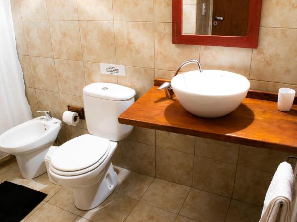 Paraiso Patagónico Bungalows and Apart Hotel : photo 8 de la chambre appartement avec vue sur la montagne