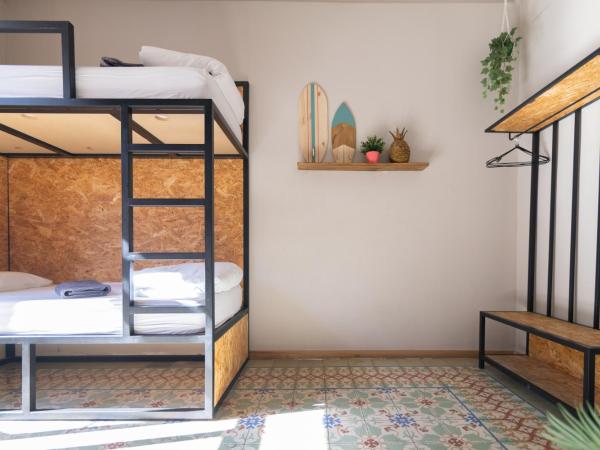 Bird House : photo 7 de la chambre chambre quadruple avec salle de bains commune