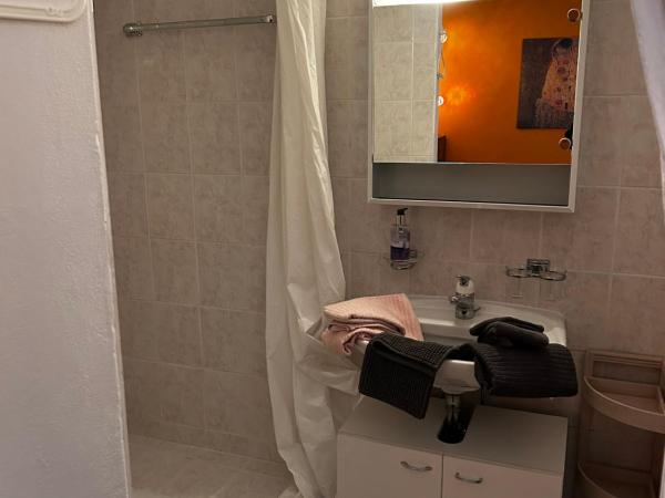 Charming Room in the heart of Locarno : photo 2 de la chambre chambre double avec salle de bains privative