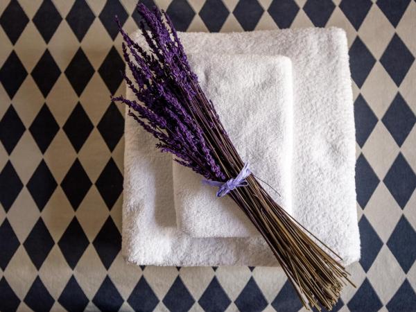 Art Boutique Hotel Chamarel : photo 8 de la chambre chambre double ou lits jumeaux