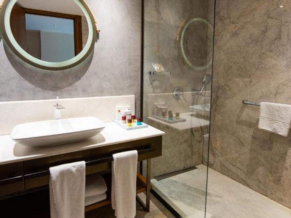 Dosso Dossi Hotels & Spa Downtown : photo 6 de la chambre chambre simple standard