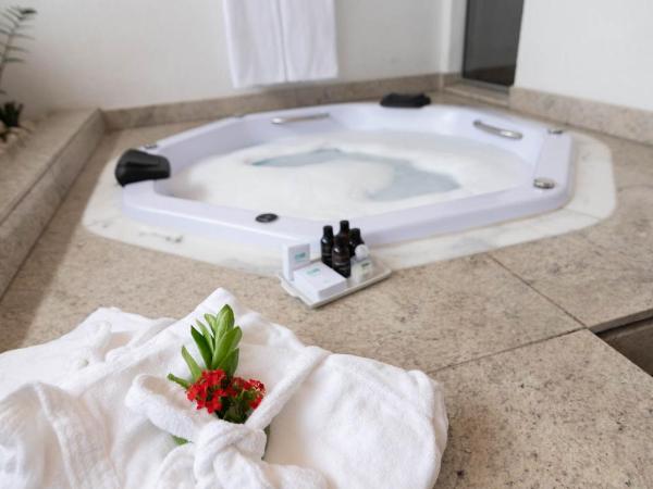 H2 Platinum Lourdes : photo 7 de la chambre penthouse