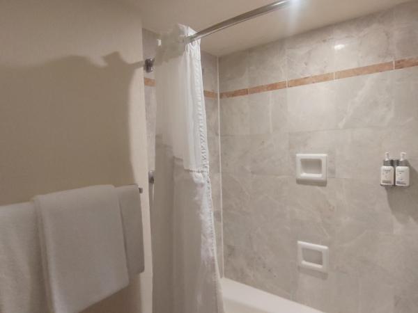 Holiday Inn Puebla La Noria, an IHG Hotel : photo 4 de la chambre chambre double avec vue - 2 lits doubles - non-fumeurs

