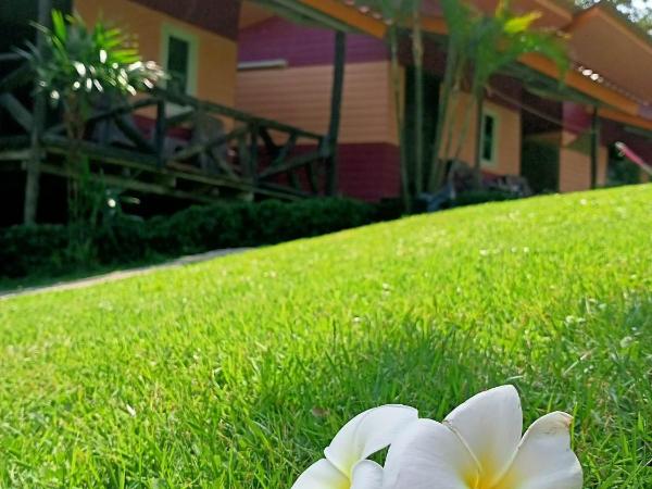 Cliff View Bungalows : photo 2 de la chambre chambre double deluxe avec balcon