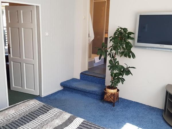 Hotel Alicja : photo 3 de la chambre appartement standard
