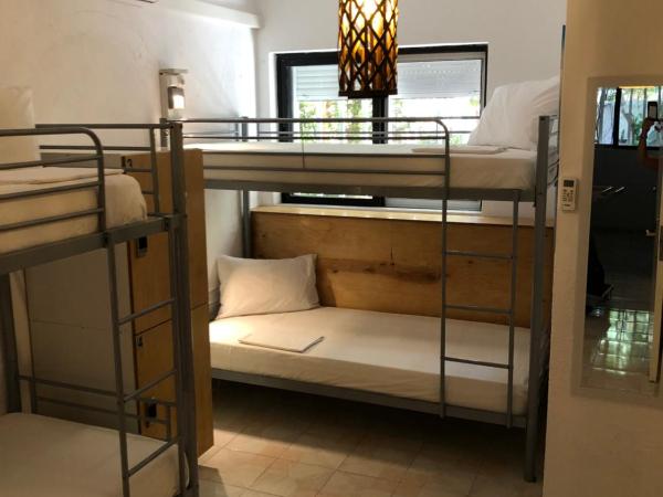 Rhodes Backpackers Boutique Hostel and Apartments : photo 8 de la chambre lit dans dortoir mixte de 4 lits