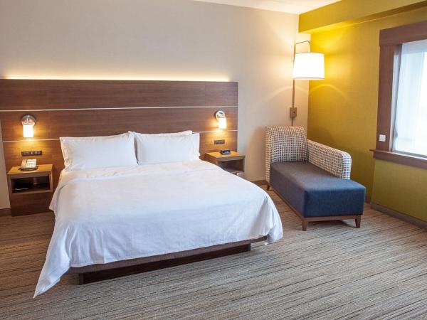 Holiday Inn Express & Suites - Halifax - Dartmouth : photo 5 de la chambre chambre lit king-size standard avec douche accessible en fauteuil roulant - adaptée aux personnes à mobilité réduite