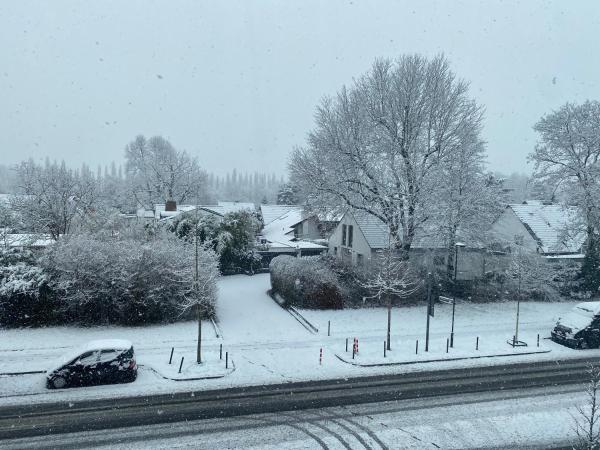 Pension Pagalies : photo 1 de la chambre chambre lits jumeaux avec salle de bains privative