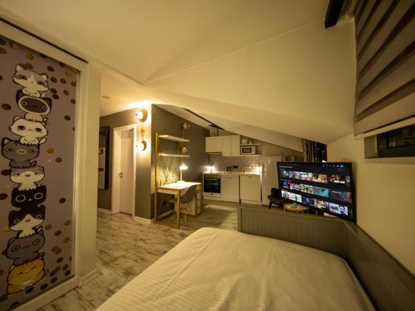 Ava Boutique Comfort Suites and Apartments : photo 6 de la chambre studio lit queen-size de luxe