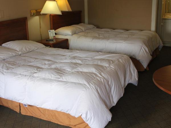 Knights Inn Indianapolis : photo 10 de la chambre chambre double avec 2 lits doubles - non-fumeurs