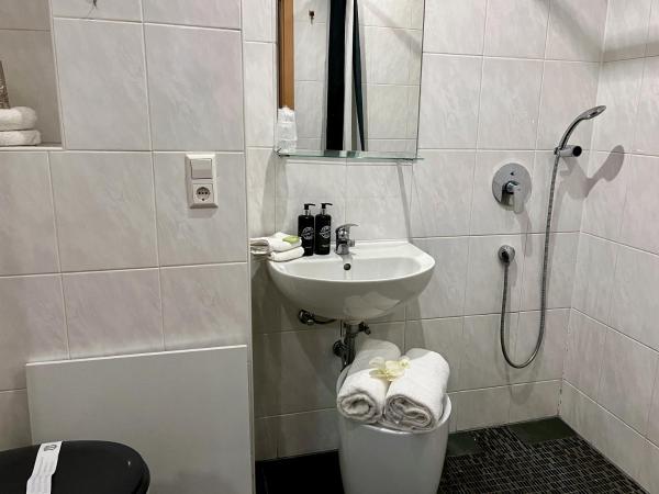 Pension Stadt Mannheim : photo 6 de la chambre suite junior familiale