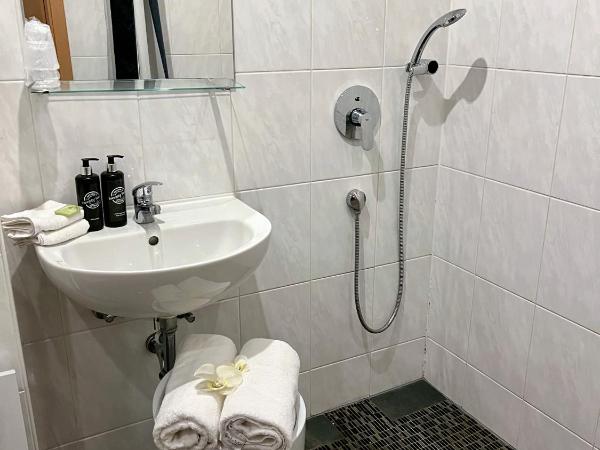 Pension Stadt Mannheim : photo 10 de la chambre suite junior familiale