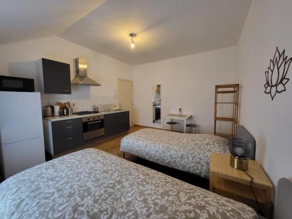 Studios idéalement situés - EU : photo 2 de la chambre chambre lits jumeaux Économique