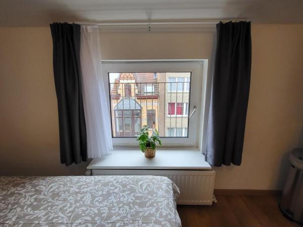 Studios idéalement situés - EU : photo 3 de la chambre chambre lits jumeaux Économique