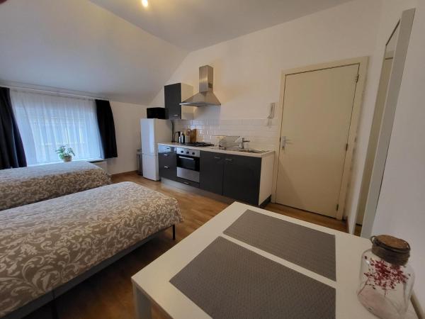 Studios idéalement situés - EU : photo 6 de la chambre chambre lits jumeaux Économique