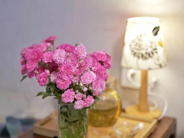 Encounter Garden Great Wall Holiday Guesthouse : photo 1 de la chambre chambre double ou lits jumeaux standard