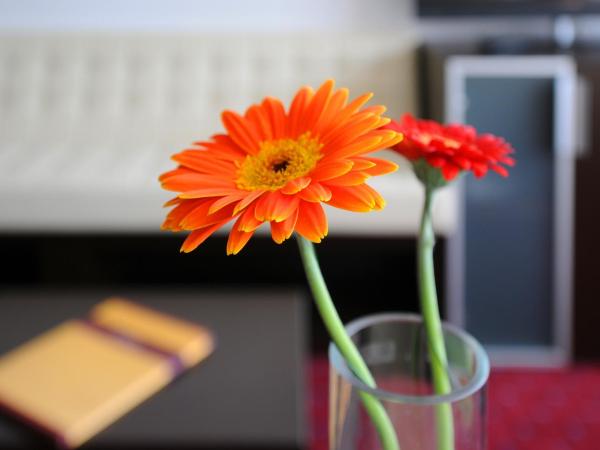 Hotel Klassik Berlin : photo 2 de la chambre chambre simple