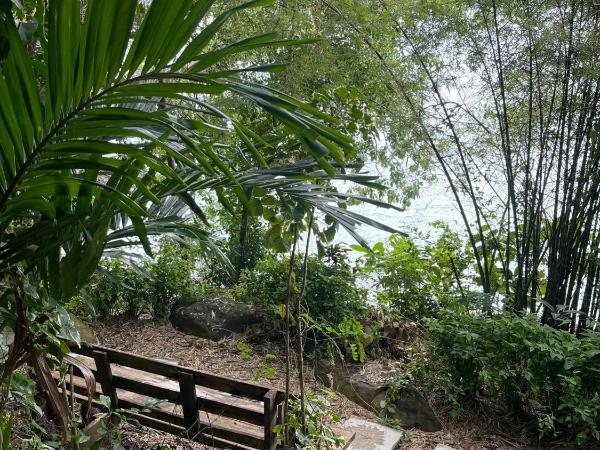 Viking Nature Resort : photo 1 de la chambre petite chambre double