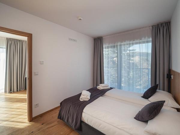 Lipowy Dwór : photo 3 de la chambre appartement avec vue sur la montagne