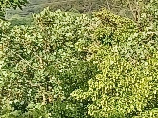 Lovely Apartment Piantade : photo 4 de la chambre appartement 2 chambres