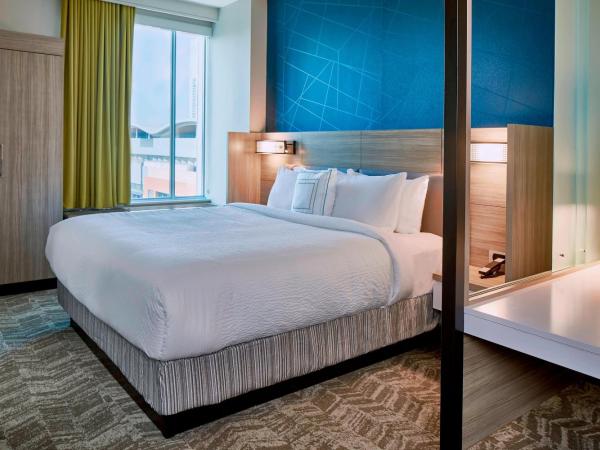 SpringHill Suites by Marriott Nashville Downtown/Convention Center : photo 6 de la chambre suite lit king-size avec canapé-lit