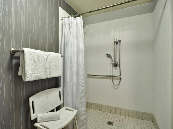 Courtyard Dallas Medical Market Center : photo 4 de la chambre chambre lit king-size avec canapé-lit