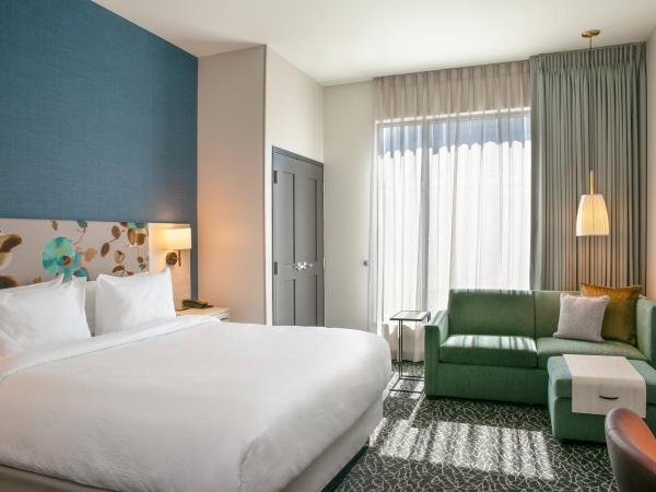 TownePlace Suites Nashville Downtown/Capitol District : photo 1 de la chambre studio lit king-size