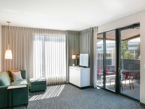 TownePlace Suites Nashville Downtown/Capitol District : photo 2 de la chambre suite 1 chambre avec 1 lit king-size et balcon - vue sur ville