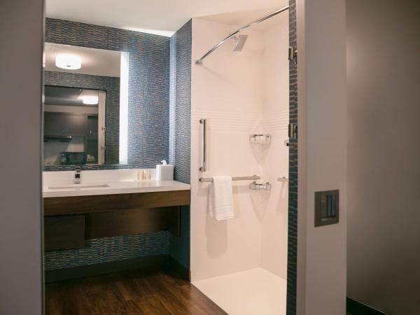 TownePlace Suites Nashville Downtown/Capitol District : photo 6 de la chambre suite 1 chambre avec 1 lit king-size et balcon - vue sur ville
