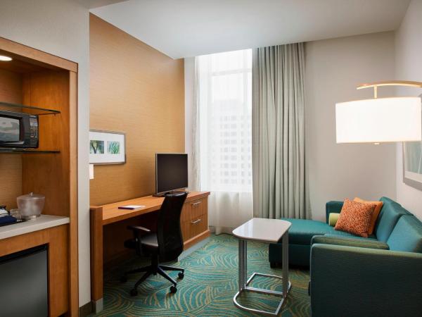 SpringHill Suites by Marriott Houston Downtown/Convention Center : photo 1 de la chambre grand studio queen