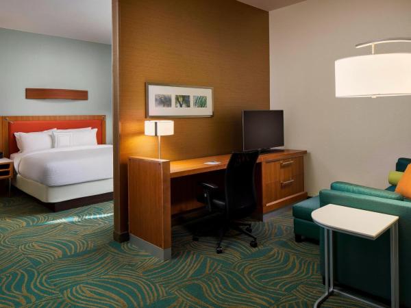 SpringHill Suites by Marriott Houston Downtown/Convention Center : photo 1 de la chambre grand studio king